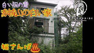 心霊スポット 千葉県木更津市 最後に最悪が襲いかかる تنزيل الموسيقى Mp3 مجانا 心霊スポット 千葉県木更津市 最後に最悪が襲いかかる تنزيل الموسيقى Mp3 مجانا