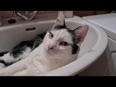 Jupi Waschbecken