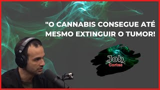 CANNABIS AJUDA A COMBATER O CANCR?