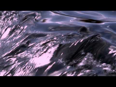 Wisdom Film - Thich Nhat Hanh - "The End of Suffering"