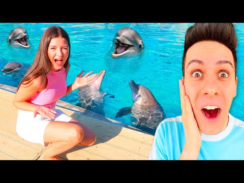 SOFÌ ADDESTRA I DELFINI IN PISCINA!!
