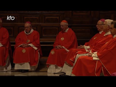 Visite ad limina : le bilan des évêques belges