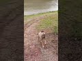 keep up