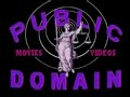 Public Domain 2013 Video Logo 360p
