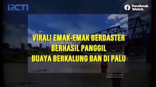 Download lagu viral EMAK EMAK BERDASTER BERHASIL PANGGIL BUAYA BERKALUNG BAN DI PALU mp3 Download lagu viral EMAK EMAK BERDASTER BERHASIL PANGGIL BUAYA BERKALUNG BAN DI PALU mp3