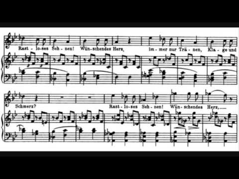 Franz Schubert - Schwanengesang