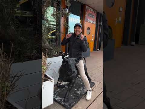 Thumbnail for We like to party in #rotterdam #netherlands #travel #funny #holiday #beautifuldestinations #tour