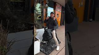 We like to party in #rotterdam #netherlands #travel #funny #holiday #beautifuldestinations #tour