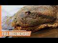 Deadly Encounter - Anaconda, the Silent Predator | Full Documentary