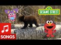 Sesame Street Dance Like A Bear Animal Dance 4