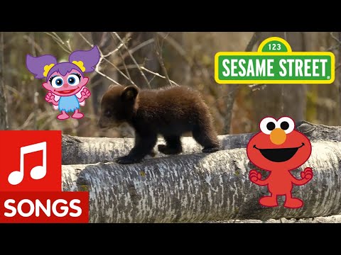 Sesame Street: Dance Like a Bear! | Animal Dance #4