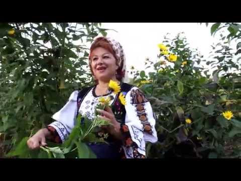 Livia Harpa - Copilita cu cindeu