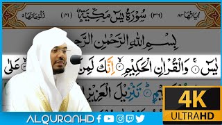 Surah Yaseen سورة يس | Arabic Text Tajweed | Sheikh Yasser Dosary ياسر الدوسري Ultra HD 4K