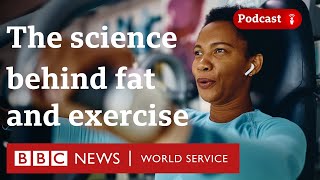 Where does our fat go when we exercise? - CrowdScience, BBC World Service