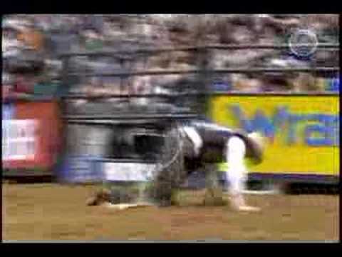 Matt Bohon VS Stray Cat