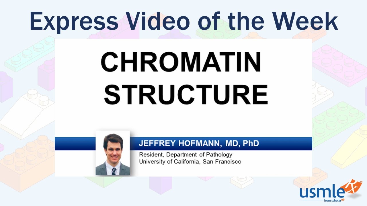 Chromatin Structure