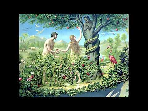 Dimanche de la Sexagésime 2020 Abbé Michel Marchiset