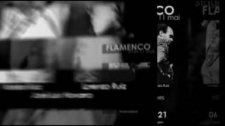 preview picture of video 'Stages de Flamenco de La Reja Flamenca'