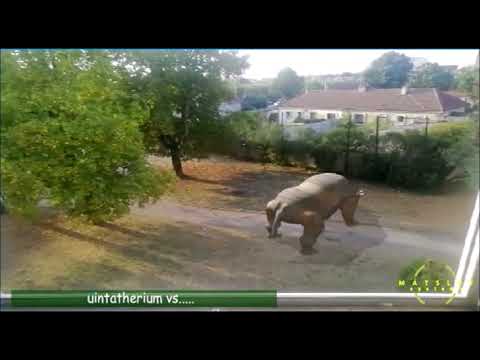 🌿uintatherium vs? 🌿