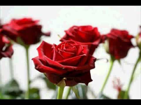 Happy birthday to you Roxana