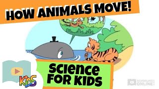 How Different Animals Move Depending on their Size and Shape | Science for Kids FULL lesson