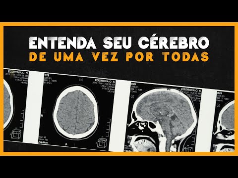 A Melhor Aula de Neurociência Básica (Os Hemisférios e Lobos Cerebrais)