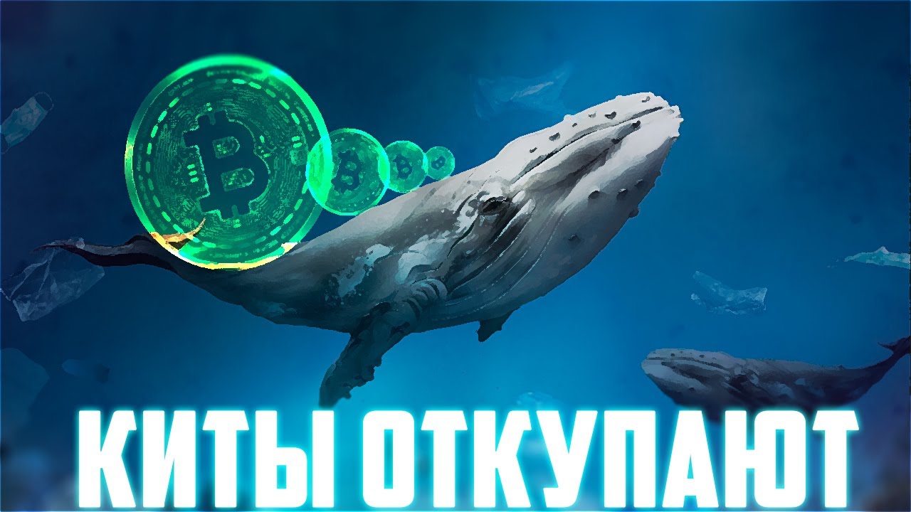 АЛЬТСЕЗОНУ БЫТЬ НО НЕ В ЭТОМ ГОДУ? ЧТО ГОВОРЯТ ЭКСПЕРТЫ ПРО ТЕКУЩИЙ БЫЧИЙ РЫН
