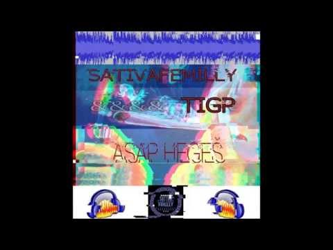 SATIVA FEMILLY x TIGP - #ASAPHEGES