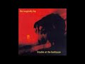 The Tragically Hip - Springtime In Vienna