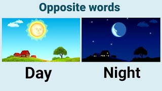 Opposite words in English. Opposite words for preschoolers/kids. Educational video. Antonym for kids