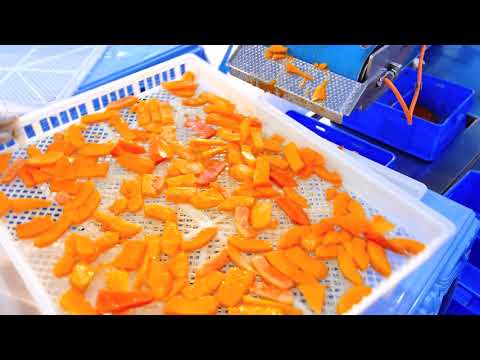 download lagu mp3 mp4 Dried Papaya Chunks, download lagu Dried Papaya Chunks gratis, unduh video klip Dried Papaya Chunks