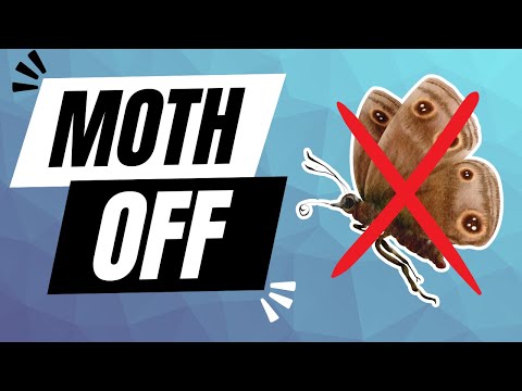 KEEP YOUR CLOTHES MOTH FREE | TIPS TO DEFEAT THE CLOTHES MOTHS