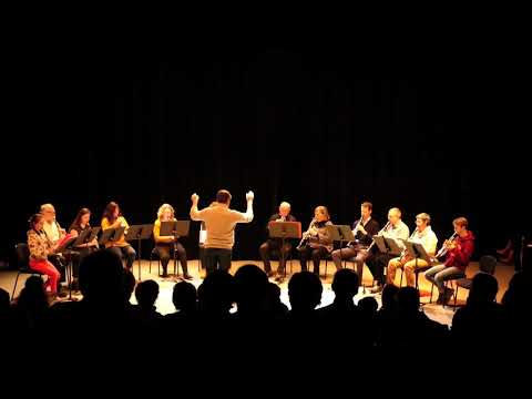 Pink Panter au concert clarinettes & trompettes du 30/01/19