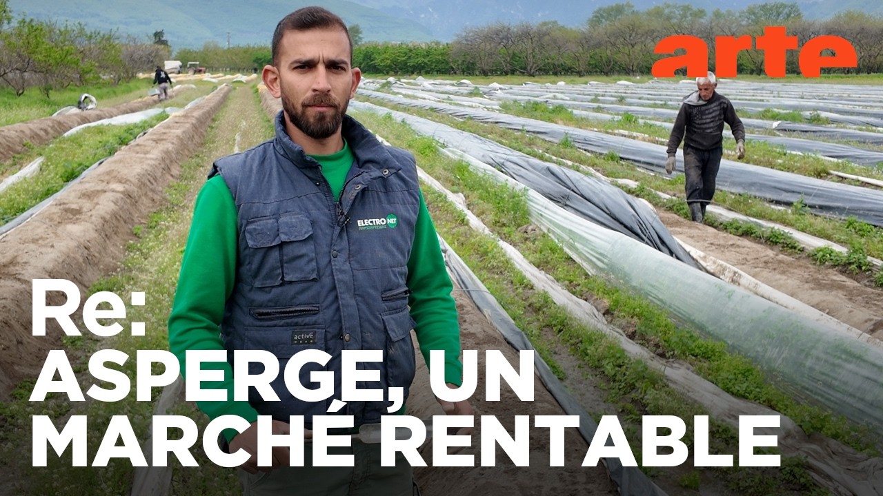 L’asperge grecque défie la concurrence | ARTE Regards