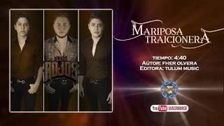 Mariposa Traicionera Lyrics English Translation