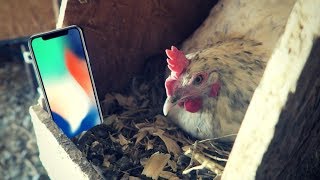 Should Homesteaders Get The iPhone X?