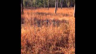 Download lagu trim 2A26CCE5 C5CA 4841 82D7 0A57E6D5C192 mp3