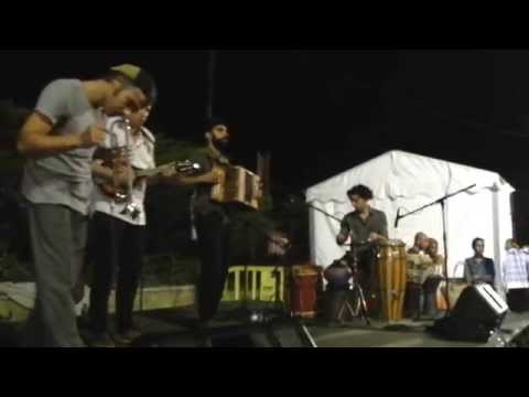 A Batalha Do Modesto Camelo Amarelo