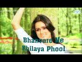 Bhanwre Ne Khilaya Phool 4k Video Jhankar Rishi Kapoor Lata Mangeshkar Prem Rog