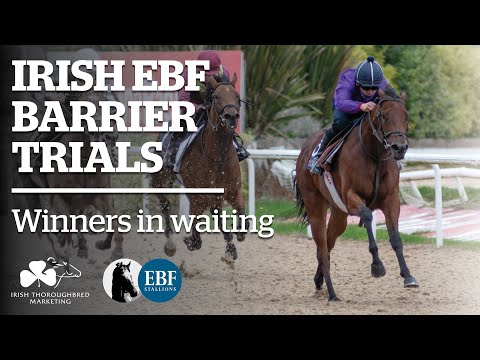 What are Irish EBF Barrier Trials? - This Racing Life, Racing TV Feature