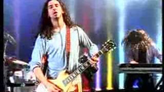 Timoria - 2020 speedball