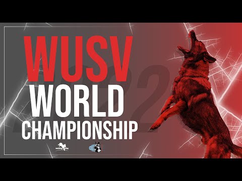 WUSV World Championship IGP 2022 // working-dog // Winner