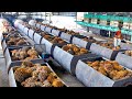 How Palm Oil Is Made In Factory Palm Harvesting Processing Technology Palm Oil Factory