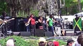 Ziggy Marley - Reggae In My Head (Wanee 2014)