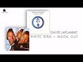 David LaFlamme Spirit Of America