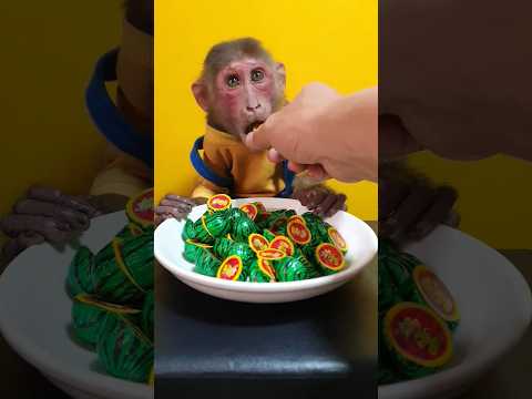 #animation #tiktok #katun #viral