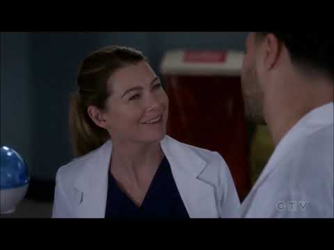 Meredith and Deluca Scenes 15x17 (MerLuca) S15E17