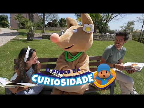 PANDA FLASH 📸 FESTIVAL PANDA 2025 🎉🐼