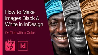Make Image Black & White in InDesign (Or Tint with a Color)