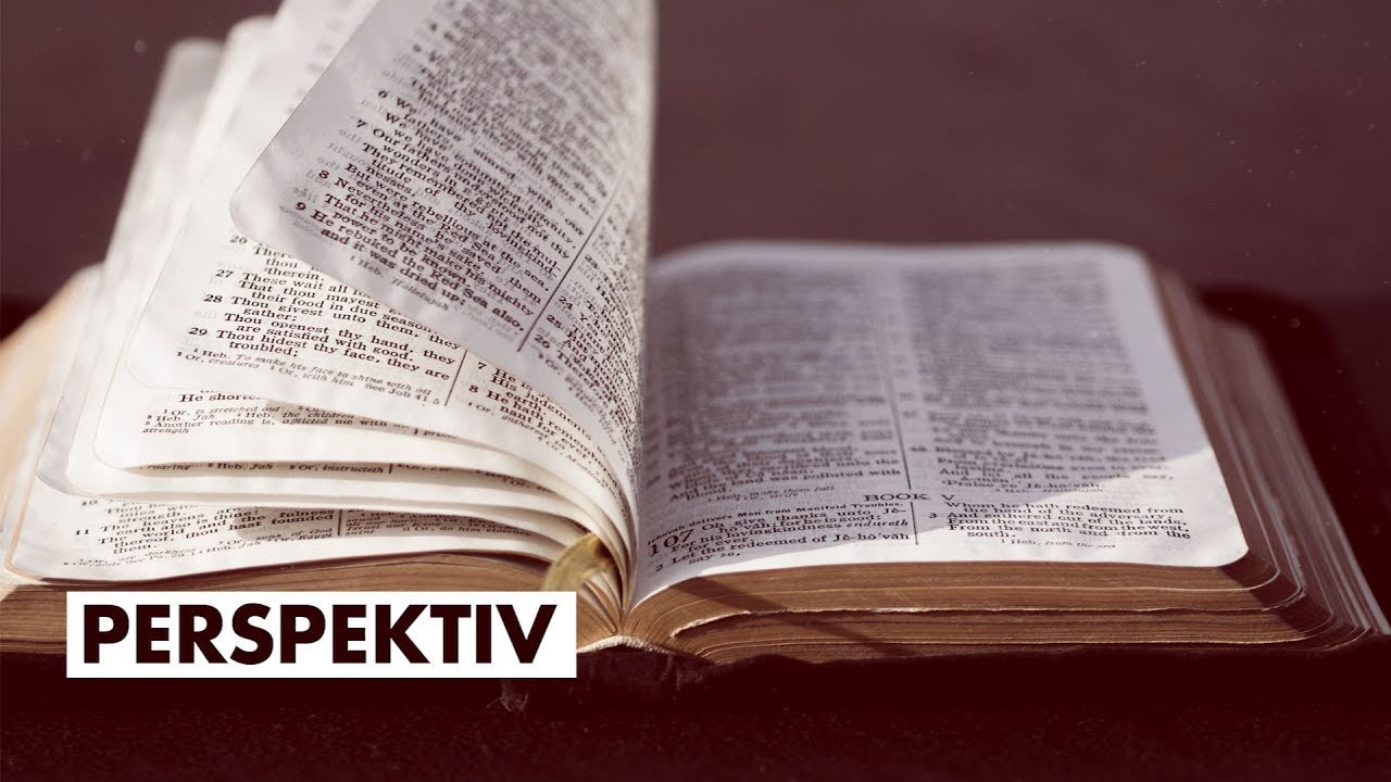 Perspektiv 29 april